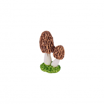 Waldpilz